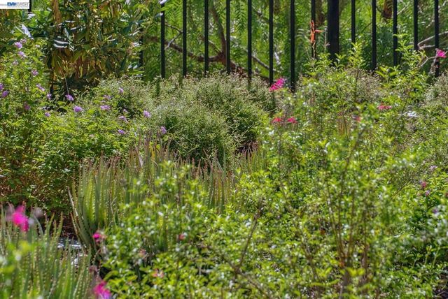 24170 24170 Amaranth Loop, Hayward, CA 94541