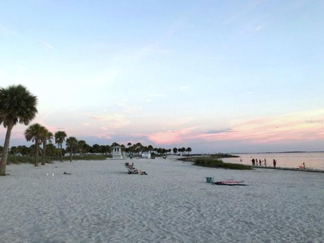 4908 HARBOR WOODS DRIVE, Palm Harbor, FL 34683