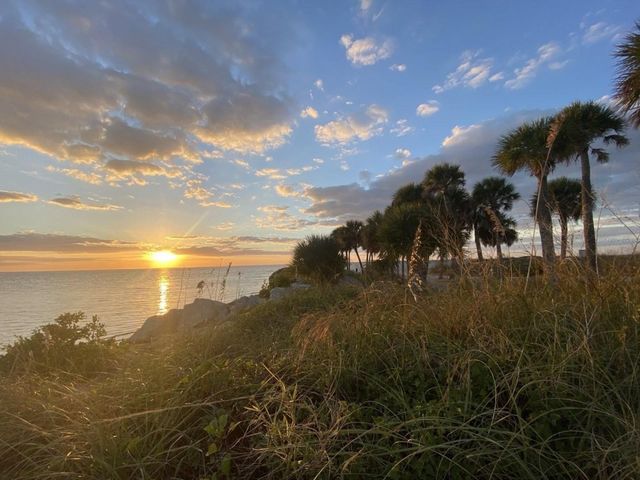 4908 HARBOR WOODS DRIVE, Palm Harbor, FL 34683