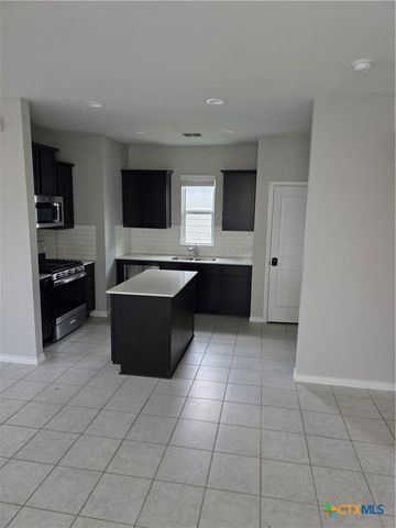 356 Spiny Lizard Lane, San Marcos, TX 78666