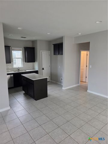 356 Spiny Lizard Lane, San Marcos, TX 78666