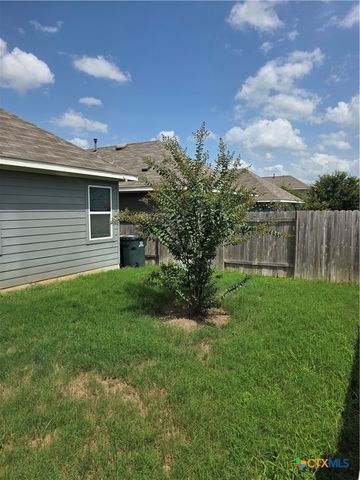356 Spiny Lizard Lane, San Marcos, TX 78666