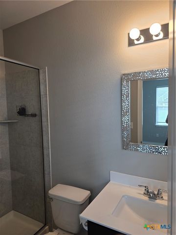 356 Spiny Lizard Lane, San Marcos, TX 78666