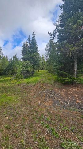 0 Fox Meadow Dr., Orofino, ID 83544