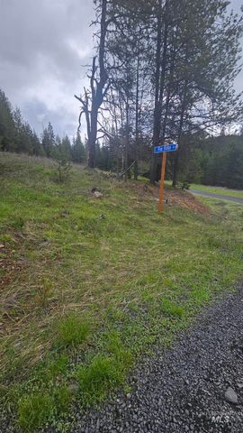 0 Fox Meadow Dr., Orofino, ID 83544