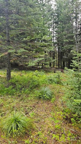 0 Fox Meadow Dr., Orofino, ID 83544