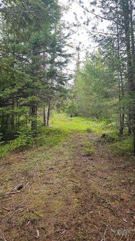0 Fox Meadow Dr., Orofino, ID 83544