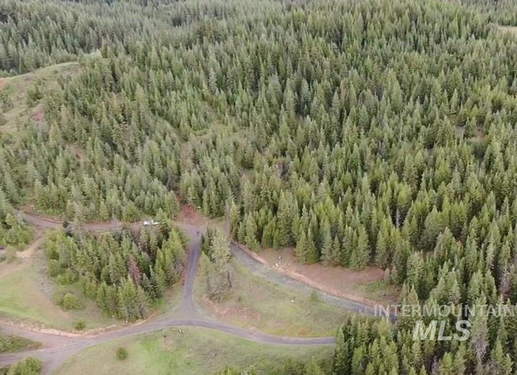 0 Fox Meadow Dr., Orofino, ID 83544