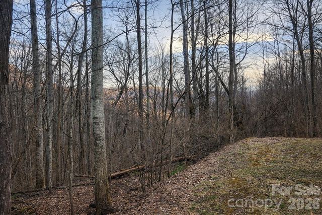 00 Upward Way 1, Waynesville, NC 28785