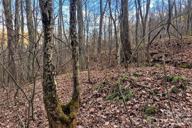 00 Upward Way 1, Waynesville, NC 28785