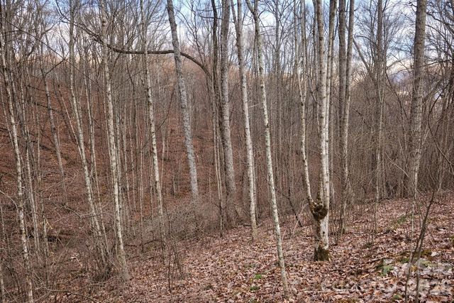 00 Upward Way 1, Waynesville, NC 28785