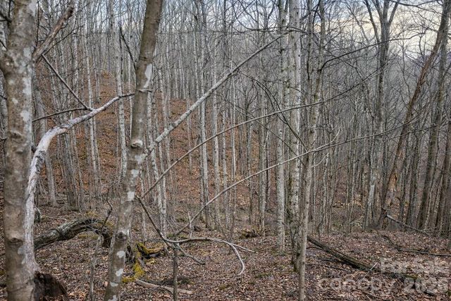 00 Upward Way 1, Waynesville, NC 28785