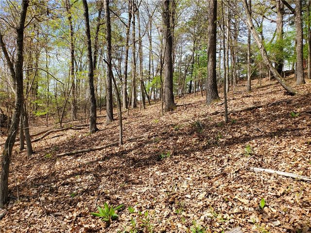 65 Rivercliff Road, Rogers, AR 72756