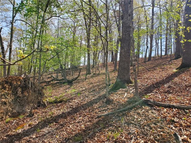 65 Rivercliff Road, Rogers, AR 72756