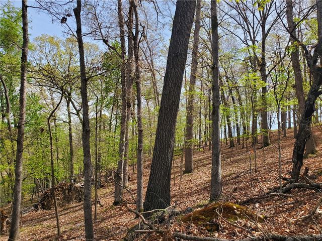 65 Rivercliff Road, Rogers, AR 72756