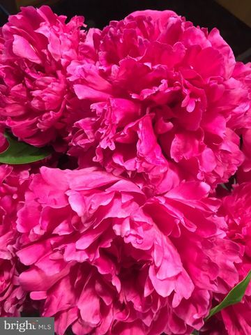 19619 HOOVER FARM, Gaithersburg, MD 20882