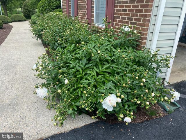 19619 HOOVER FARM, Gaithersburg, MD 20882