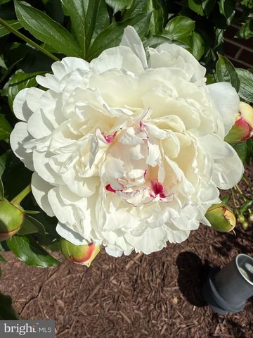 19619 HOOVER FARM, Gaithersburg, MD 20882