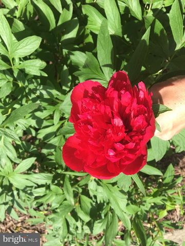 19619 HOOVER FARM, Gaithersburg, MD 20882