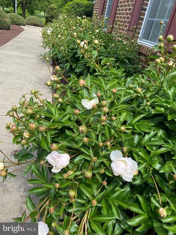 19619 HOOVER FARM, Gaithersburg, MD 20882