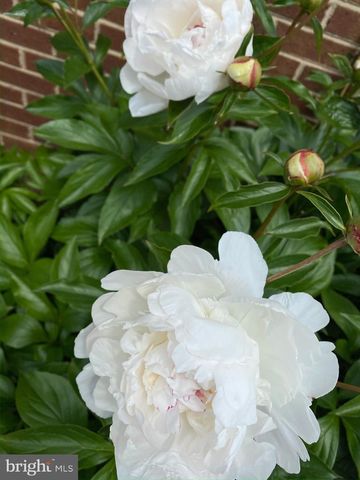 19619 HOOVER FARM, Gaithersburg, MD 20882