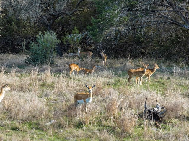8901 County Road 108, Burnet, TX 78611