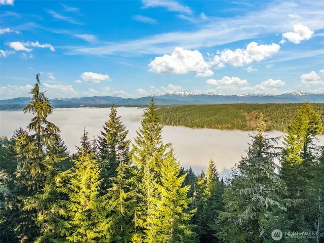 1123 E Timber Tides Drive, Union, WA 98592