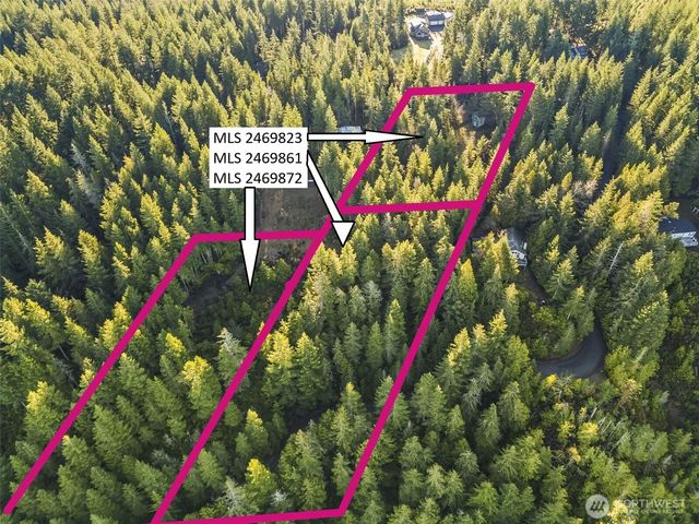 1123 E Timber Tides Drive, Union, WA 98592