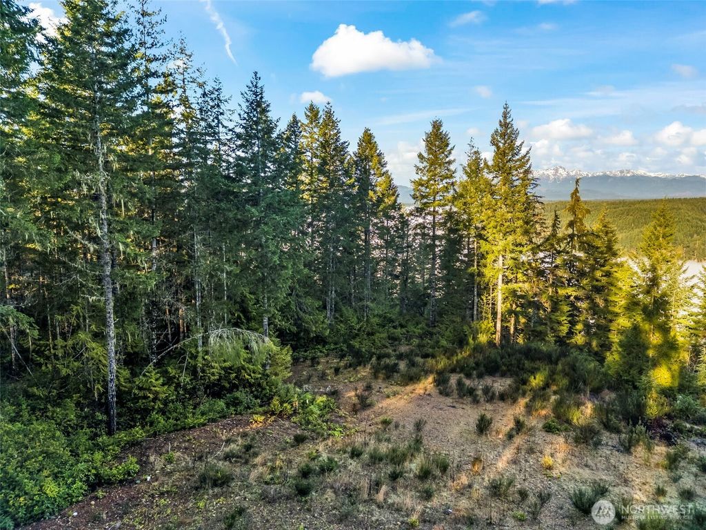 1123 E Timber Tides Drive, Union, WA 98592