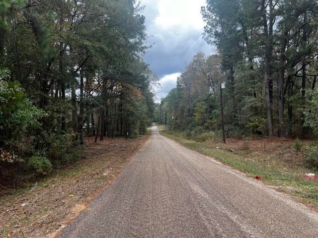 334 Pinetree Rd, Harleton, TX 75651