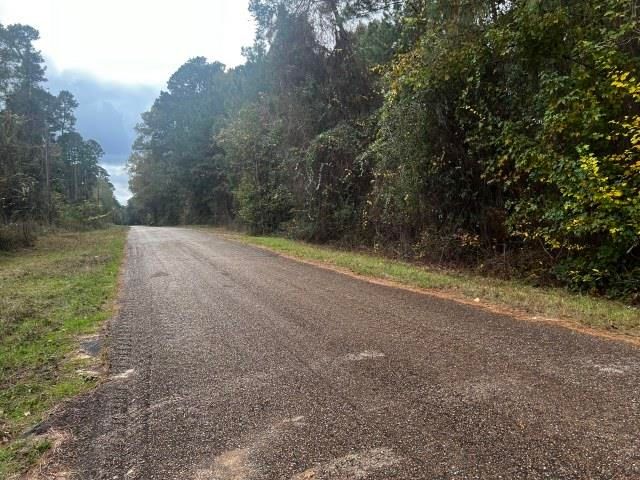 334 Pinetree Rd, Harleton, TX 75651