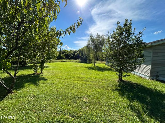 737 Spears Dykes Road, Greeneville, TN 37745