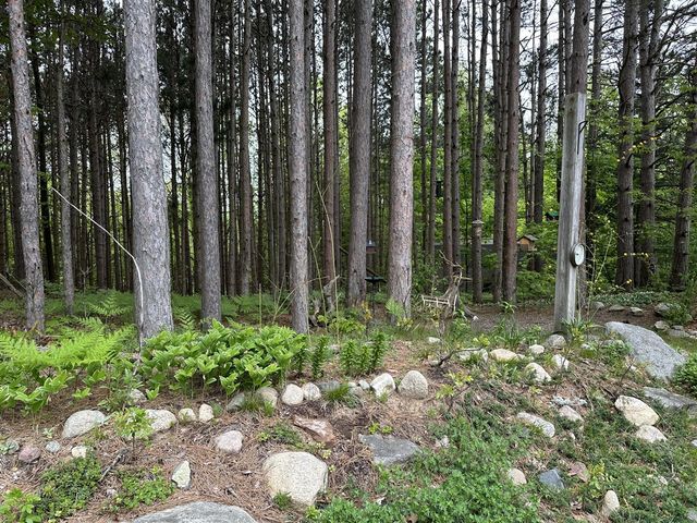 6835 W Deer Road, Mears, MI 49436