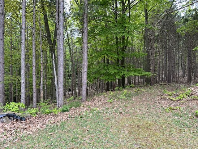 6835 W Deer Road, Mears, MI 49436