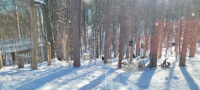 6835 W Deer Road, Mears, MI 49436