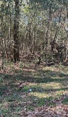 0 Cary Hamilton Road, Theodore, AL 36582