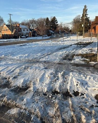 18946 W McNichols Road, Detroit, MI 48219