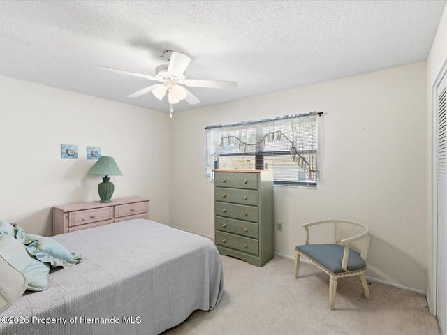 2351 Palm Springs Court, Spring Hill, FL 34606