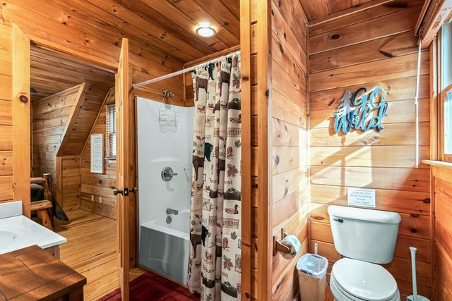 850 Mountain Lake Circle, Blue Ridge, GA 30513