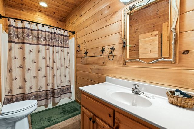 850 Mountain Lake Circle, Blue Ridge, GA 30513