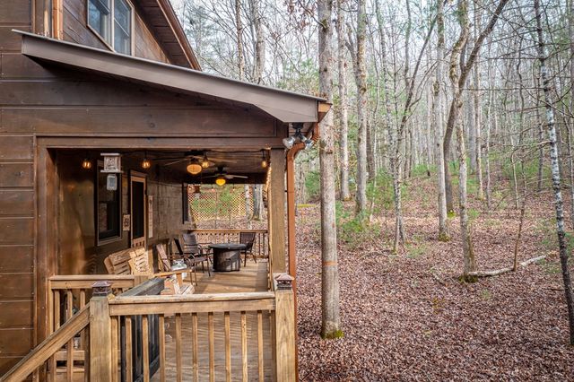 850 Mountain Lake Circle, Blue Ridge, GA 30513