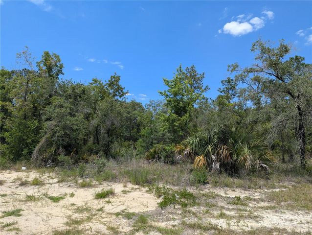 0 IBIS ROAD, Brooksville, FL 34614