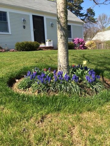 121 Eileen Street, Yarmouth Port, MA 02675