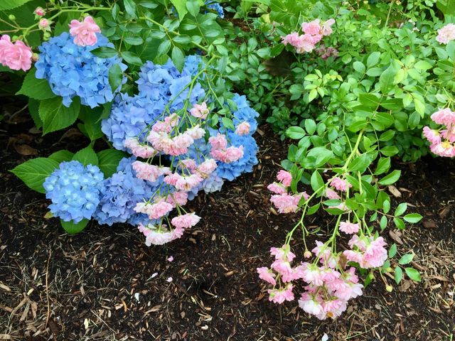 121 Eileen Street, Yarmouth Port, MA 02675