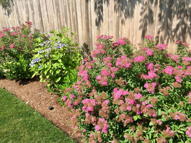 121 Eileen Street, Yarmouth Port, MA 02675