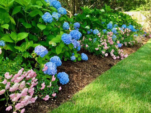 121 Eileen Street, Yarmouth Port, MA 02675