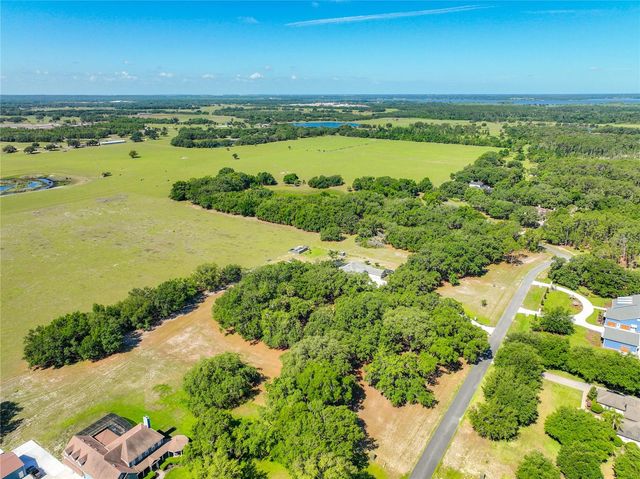 TROTTING HORSE LANE, Tavares, FL 32778