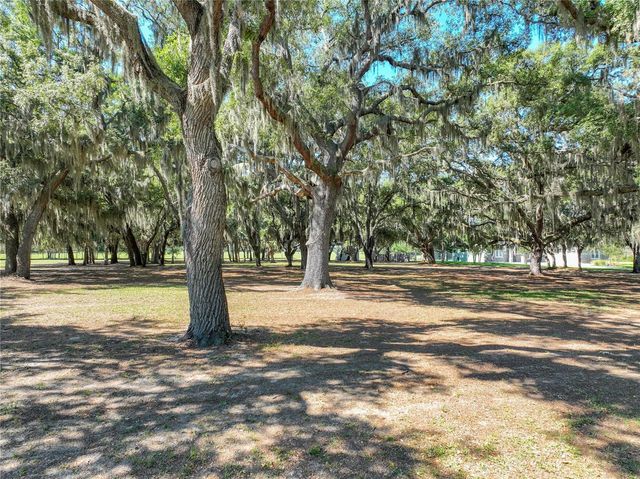 TROTTING HORSE LANE, Tavares, FL 32778