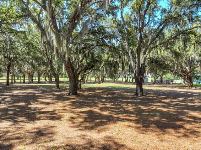 TROTTING HORSE LANE, Tavares, FL 32778