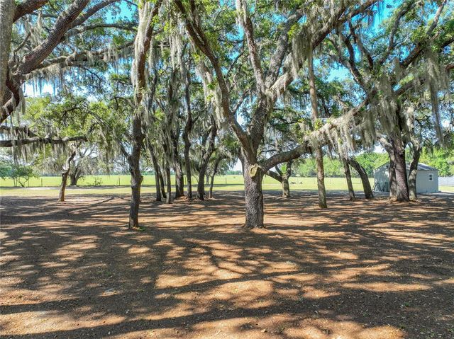 TROTTING HORSE LANE, Tavares, FL 32778
